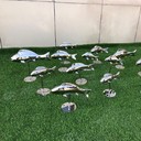地產(chǎn)景觀不銹鋼魚(yú)雕塑工廠