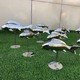 水池圖