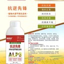 新疆生產(chǎn)巴斯夫望秋氨基酸葉面肥廠家