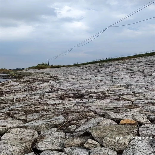 吉林雷諾護(hù)墊廠家,水利雷諾護(hù)墊定制廠家