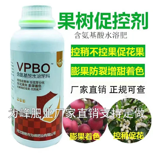 紅富士花芽分化蘋(píng)果樹(shù)促控劑效果好,果樹(shù)促控劑廠家批發(fā)