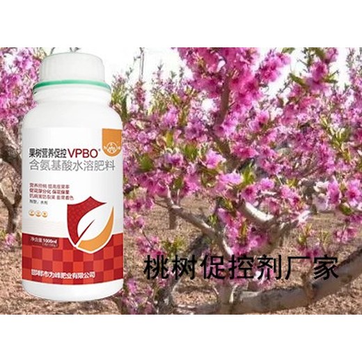 桃樹促控調節劑PBO用什么好,為峰肥業果樹PBO廠家招商