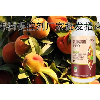 桃樹保花調(diào)節(jié)劑PBO廠家批發(fā),果樹促控劑廠家批發(fā)
