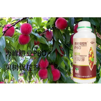 桃樹促花花芽分化PBO用法用量,果樹促控劑廠家批發(fā)