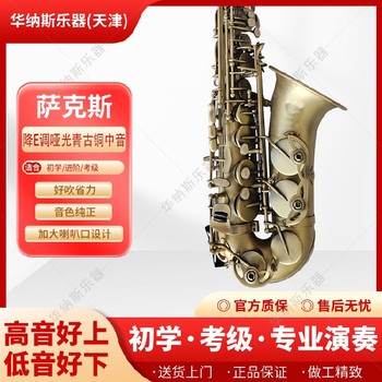 广西哑光青仿古降e调中音萨克斯源头工厂,定制