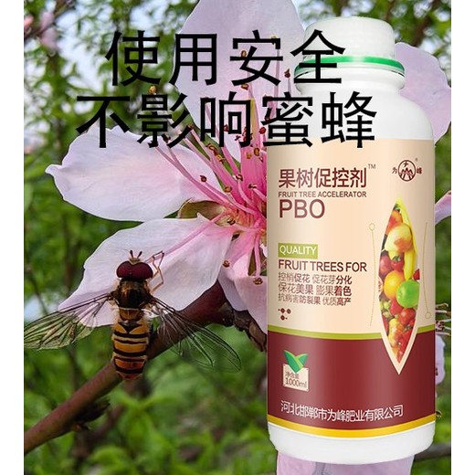 桃樹控梢增花靈PBO多少錢,為峰肥業(yè)果樹PBO廠家招商
