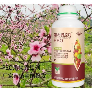桃樹控梢增產(chǎn)劑PBO貼牌加工,為峰肥業(yè)果樹PBO廠家招商