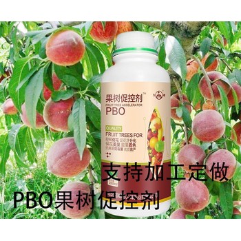 桃樹上色調(diào)節(jié)劑PBO價(jià)格,為峰肥業(yè)果樹PBO廠家招商