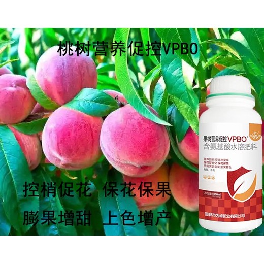 桃樹(shù)上色延長(zhǎng)花期PBO用什么好,為峰肥業(yè)果樹(shù)PBO廠家招商