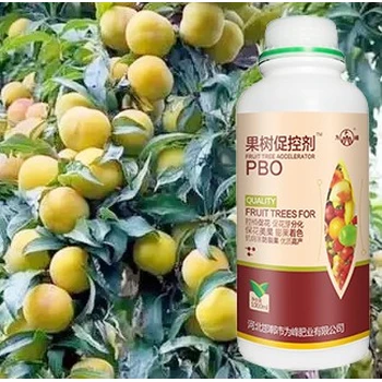 桃樹?；ㄑ娱L(zhǎng)花期PBO廠家批發(fā),為峰肥業(yè)果樹PBO廠家招商