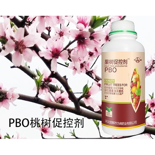 桃树控旺增花灵PBO产品定做,为峰肥业果树PBO厂家招商