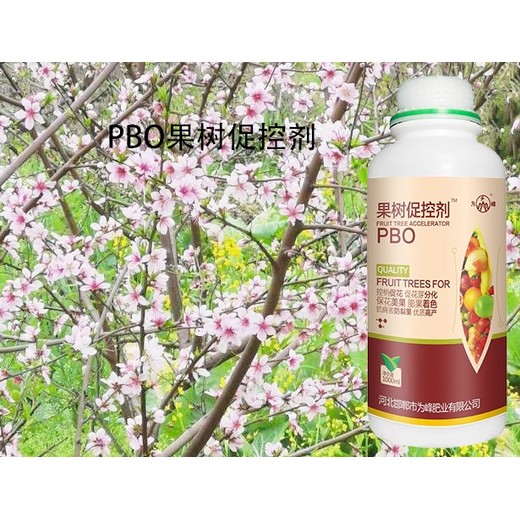 桃樹促控調(diào)節(jié)劑PBO廠家定做,為峰肥業(yè)果樹PBO廠家招商