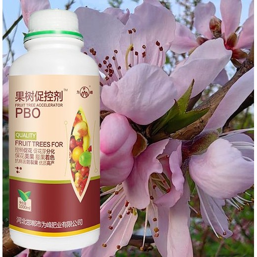 桃树促花花芽分化PBO产品定做,为峰肥业果树PBO厂家招商