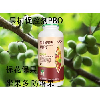 桃树保果花芽分化PBO用法用量,为峰肥业果树PBO厂家招商