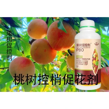 桃樹控旺葉面肥PBO聯(lián)系方式,果樹促控劑廠家批發(fā)