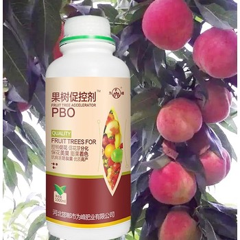 桃树上色增花灵PBO用法用量,为峰肥业果树PBO厂家招商