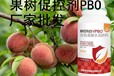 桃樹促花果樹促控劑PBO怎么使用,為峰肥業(yè)果樹PBO廠家招商