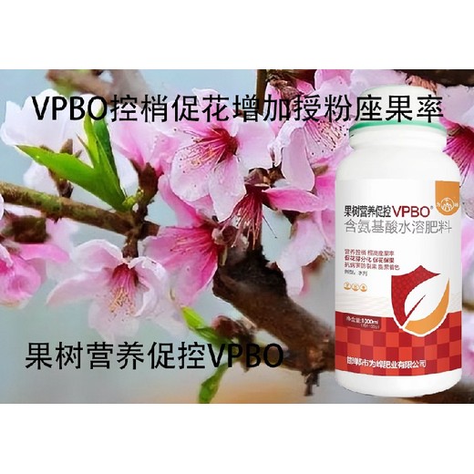 桃树保花增产剂PBO公司,为峰肥业果树PBO厂家招商