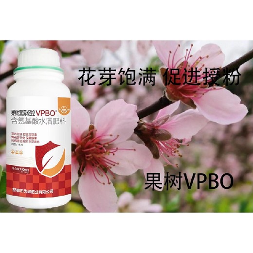 桃樹保花花芽分化PBO多少錢,果樹促控劑廠家批發(fā)
