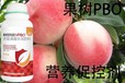 桃樹促控延長花期PBO廠家定做,果樹促控劑廠家批發(fā)
