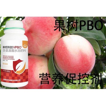 桃树上色增花灵PBO用法用量,为峰肥业果树PBO厂家招商