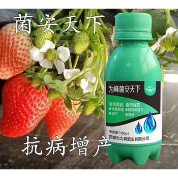 為峰肥業(yè)生根壯苗菌安天下用法用量