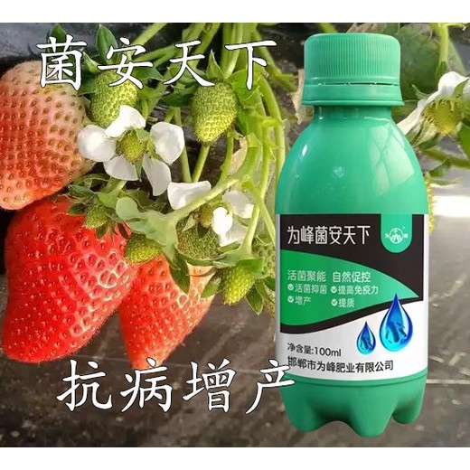 生物菌劑微生物菌劑菌安天下增產(chǎn)效果實(shí)測(cè)