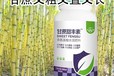 甘蔗粗又甜正品甘蔗甜豐素對比,廠家批發招商