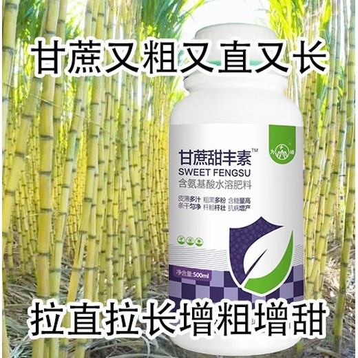 甘蔗拉直增粗甘蔗甜丰素,厂家批发招商