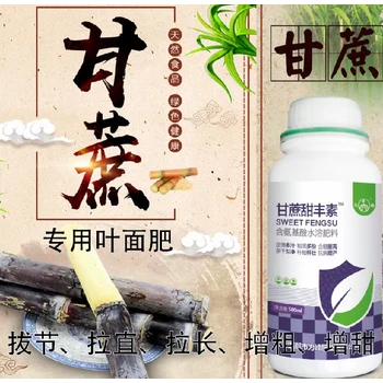 甘蔗粗直長生根抗倒甘蔗甜豐素價格,廠家批發(fā)招商
