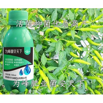 生物菌剂聚能生物菌群菌安天下对比