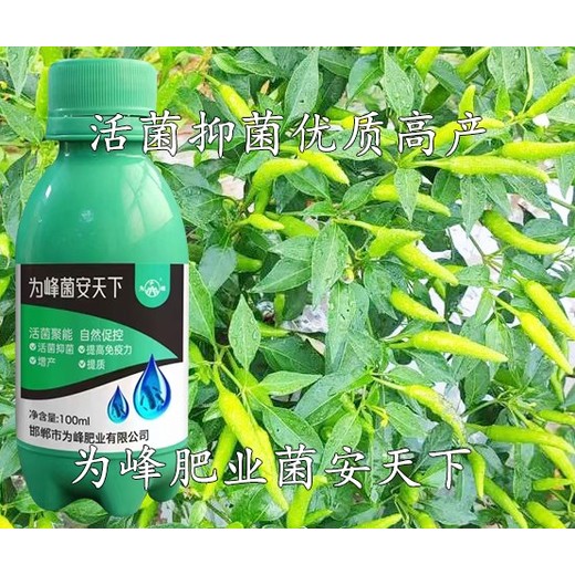 農業(yè)菌劑生根壯苗菌安天下的作用