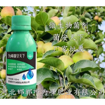 微生物菌肥微生物菌劑菌安天下