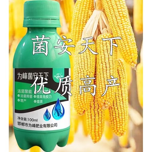菌安天下效果?菌安天下效果如何
