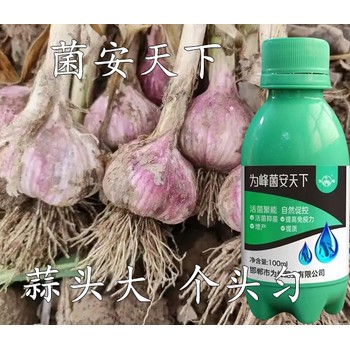 為峰肥業(yè)增產(chǎn)菌安天下抗寒效果