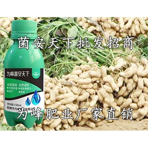 作物增產(chǎn)菌劑驅(qū)蟲(chóng)防病菌安天下效果好