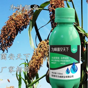 抗病生物菌劑?抗病增產(chǎn)菌安天下什么價(jià)