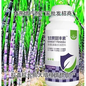 甘蔗粗直長生根抗倒甘蔗甜豐素價格,廠家批發(fā)招商