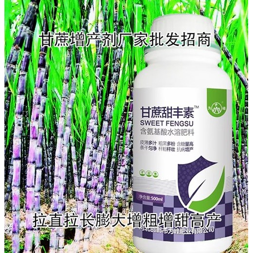甘蔗拉直增粗調節劑甘蔗甜豐素效果好,廠(chǎng)家批發(fā)招商