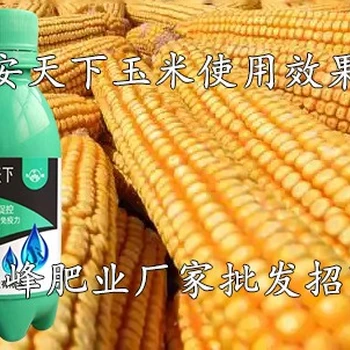 抗病生物菌劑?抗病增產(chǎn)菌安天下什么價(jià)