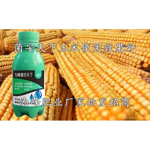 抗病生物菌劑?正規菌安天下公司