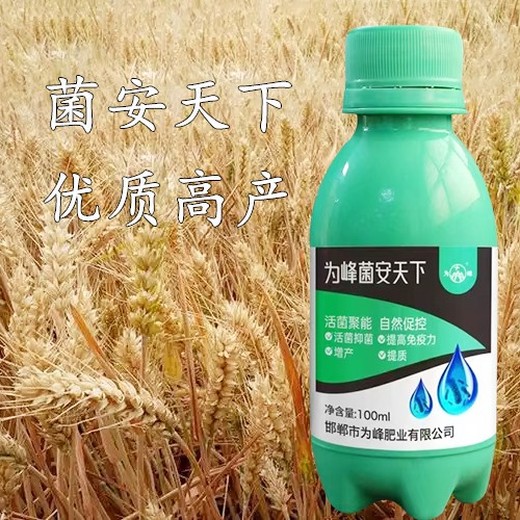 抗病生物菌劑?抗病增產(chǎn)菌安天下多少錢