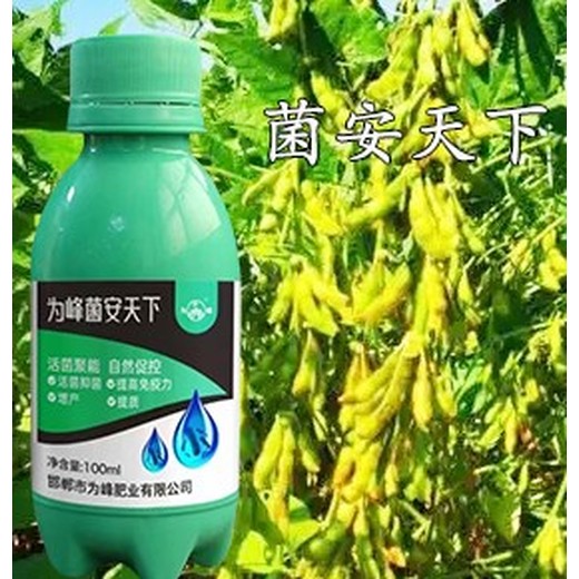 農業(yè)菌劑聚能生物菌群菌安天下效果好