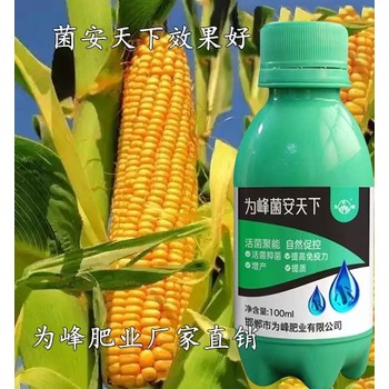 微生物菌肥生根壮苗菌安天下生产厂家