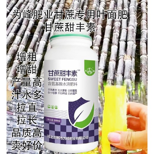 甘蔗粗直長(cháng)拔節拉長(cháng)甘蔗甜豐素效果如何,廠(chǎng)家批發(fā)招商