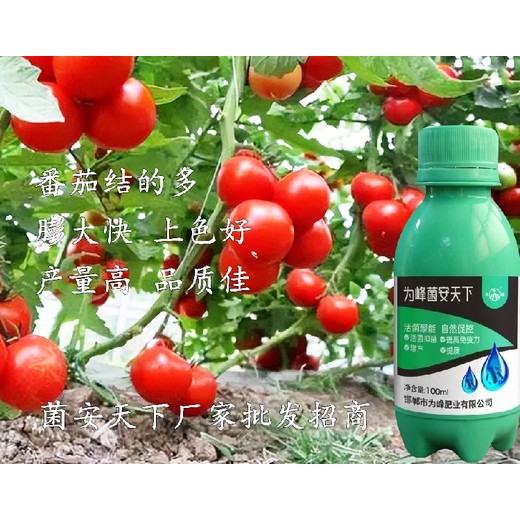 活菌制劑微生物菌劑菌安天下