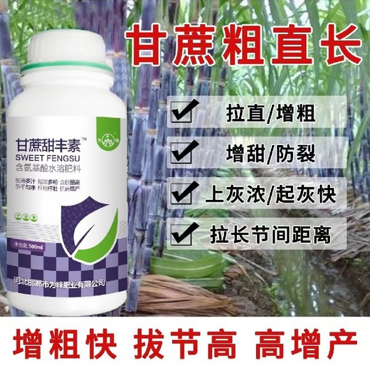 甘蔗增產(chǎn)劑葉面肥甘蔗甜豐素保質(zhì)期多久,廠(chǎng)家批發(fā)招商