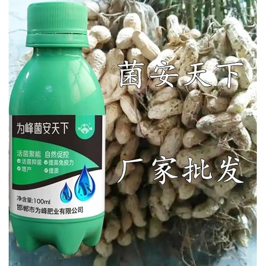 為峰肥業(yè)微生物菌劑菌安天下使用方法