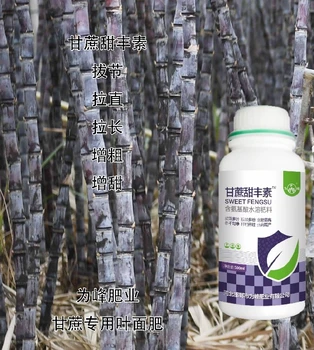 甘蔗粗直長增粗增甜甘蔗甜豐素效果好,廠家批發(fā)招商