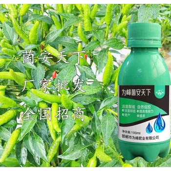 為峰肥業(yè)生根壯苗菌安天下用法用量